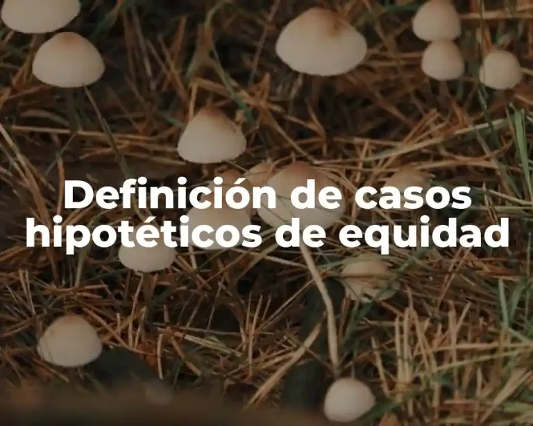 Definición de casos hipotéticos de equidad