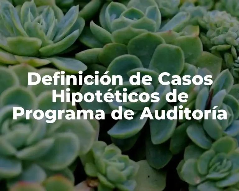 Definición de Casos Hipotéticos de Programa de Auditoría