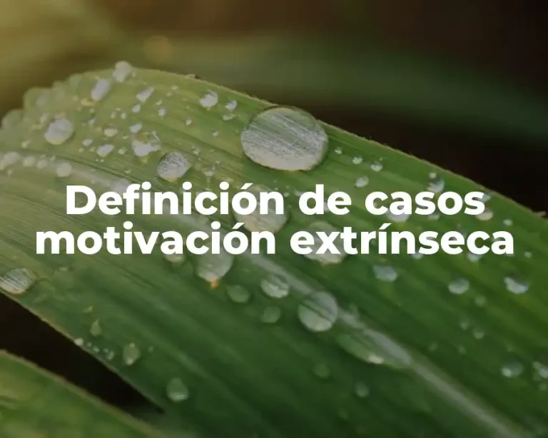Definición de casos motivación extrínseca
