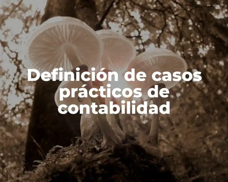 Definición de casos prácticos de contabilidad