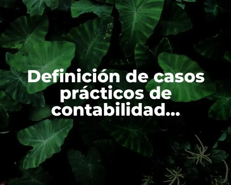Definición de casos prácticos de contabilidad gubernamental