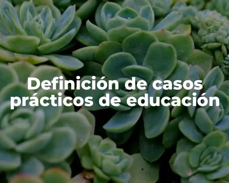 Definición de casos prácticos de educación