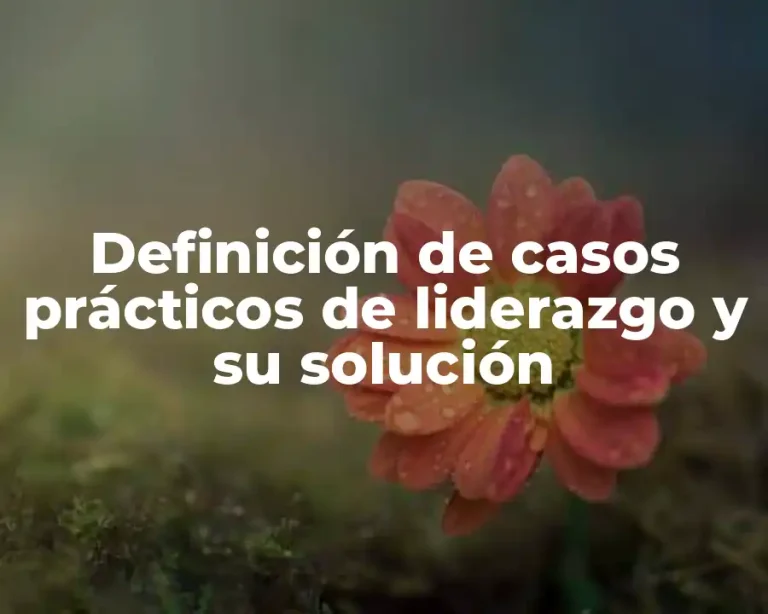 Definición de casos prácticos de liderazgo y su solución