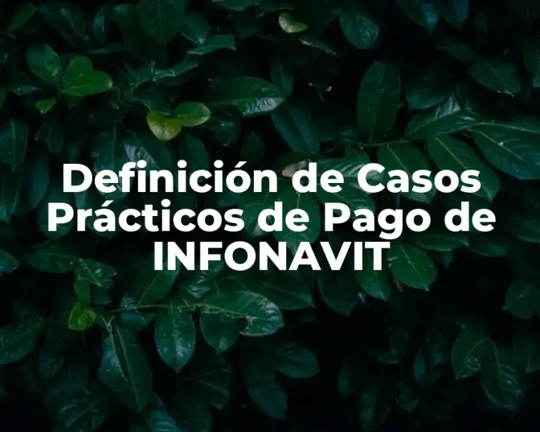 Definición de Casos Prácticos de Pago de INFONAVIT