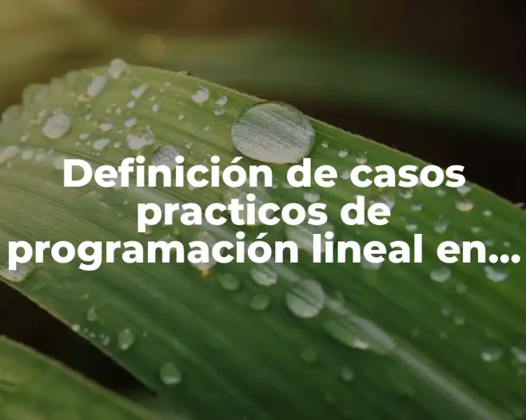 Definición de casos practicos de programación lineal en una empresa