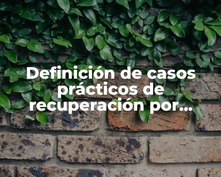 Definición de casos prácticos de recuperación por seguros