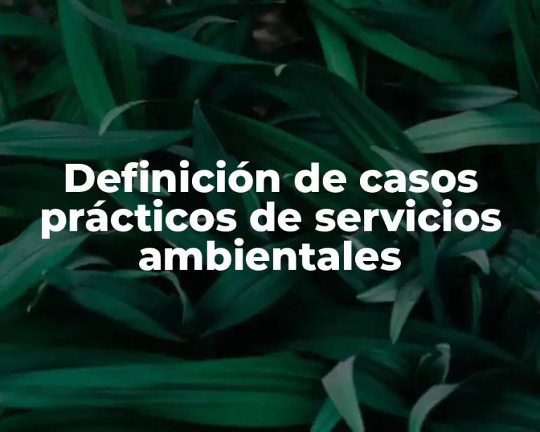 Definición de casos prácticos de servicios ambientales