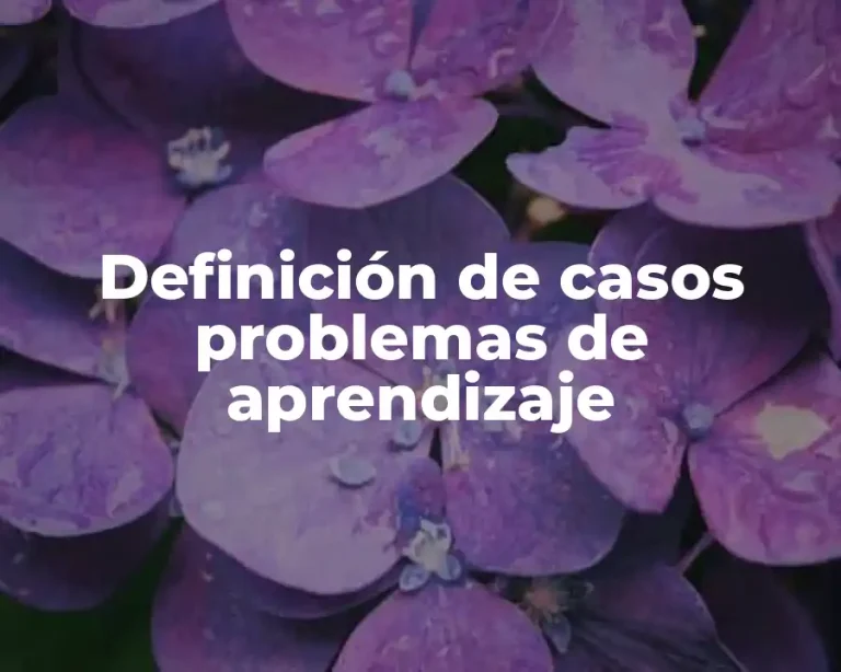 Definición de casos problemas de aprendizaje