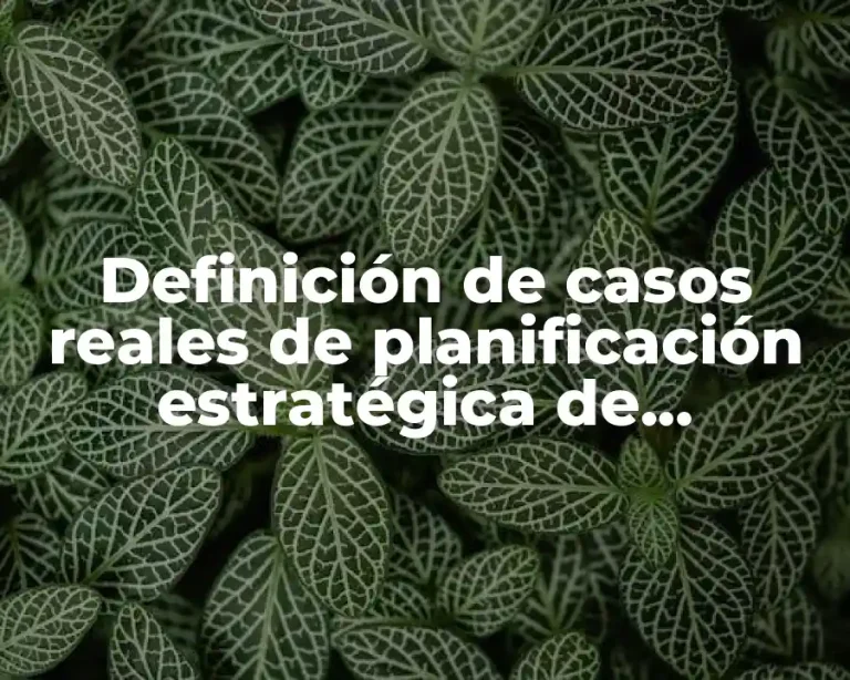 Definición de casos reales de planificación estratégica de empresas