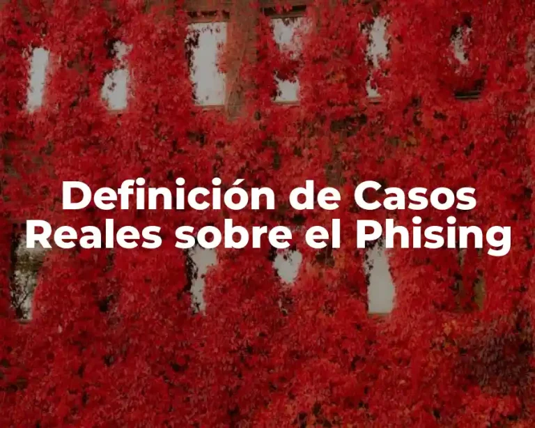 Definición de Casos Reales sobre el Phising