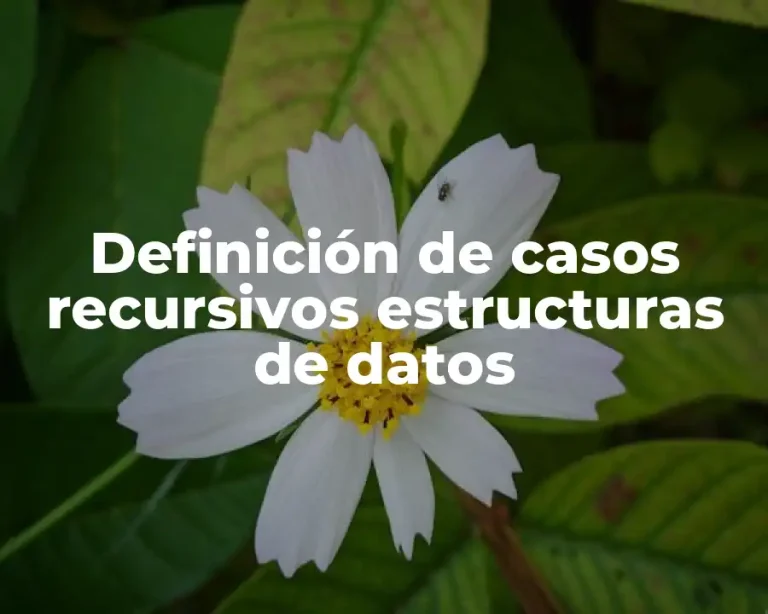 Definición de casos recursivos estructuras de datos