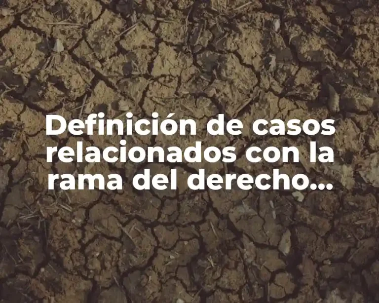 Definición de casos relacionados con la rama del derecho constitucional