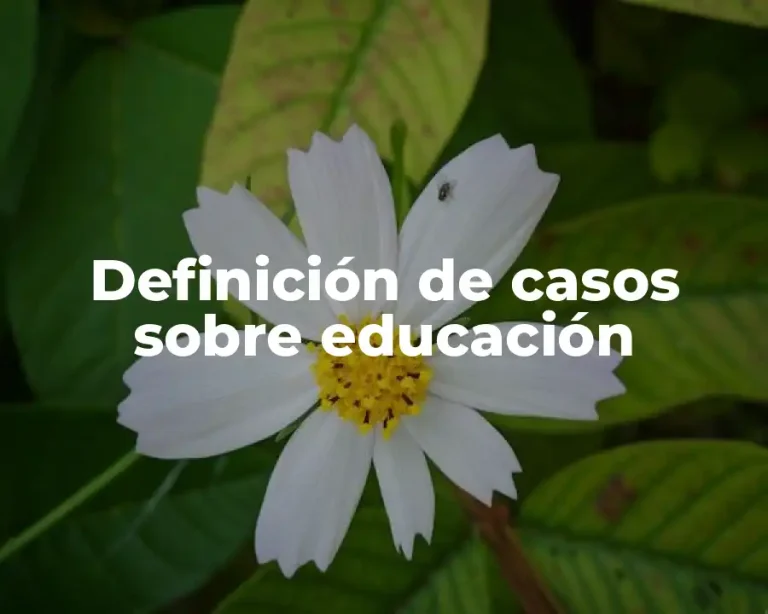 Definición de casos sobre educación