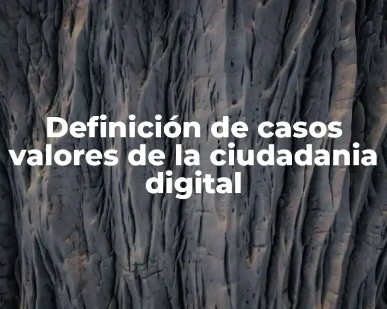 Definición de casos valores de la ciudadania digital