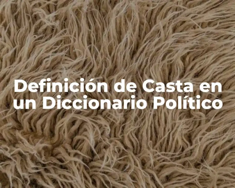 Definición de Casta en un Diccionario Político