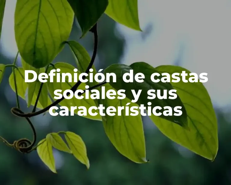Definición de castas sociales y sus características
