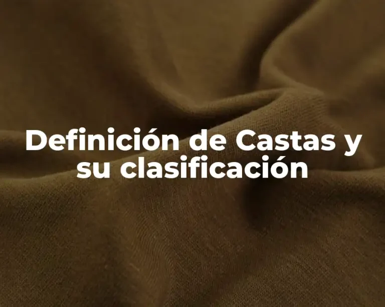Definición de Castas y su clasificación
