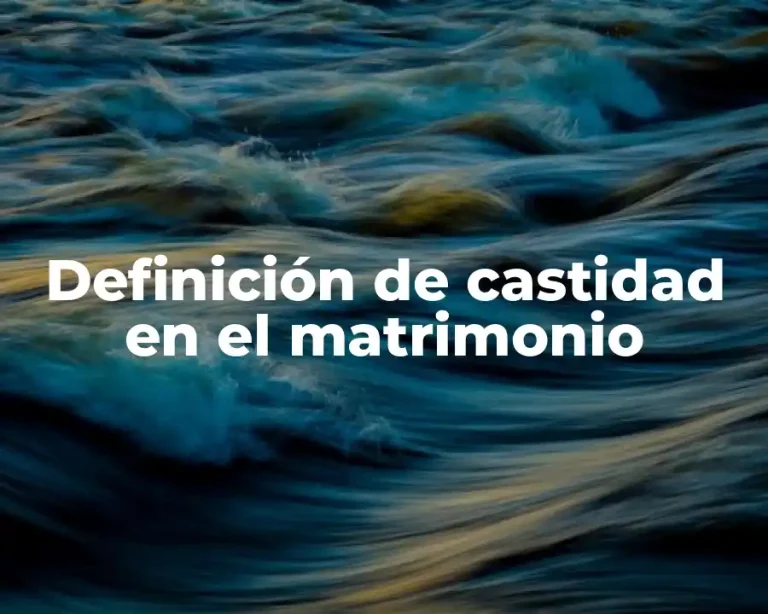 Definición de castidad en el matrimonio