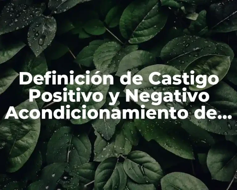 Definición de Castigo Positivo y Negativo Acondicionamiento de Skinner