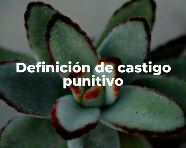 Definición de castigo punitivo