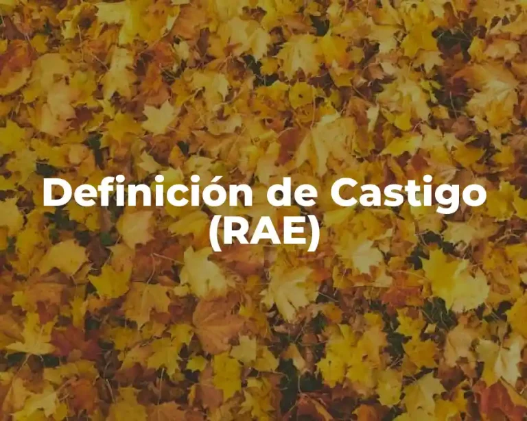 Definición de Castigo (RAE)