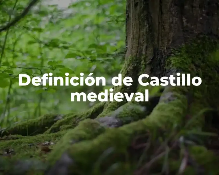 Definición de Castillo medieval