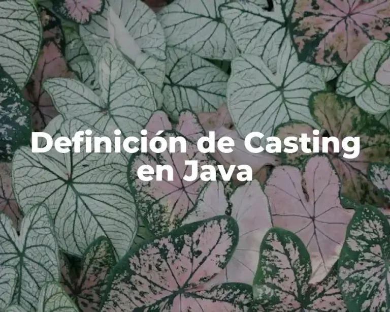 Definición de Casting en Java