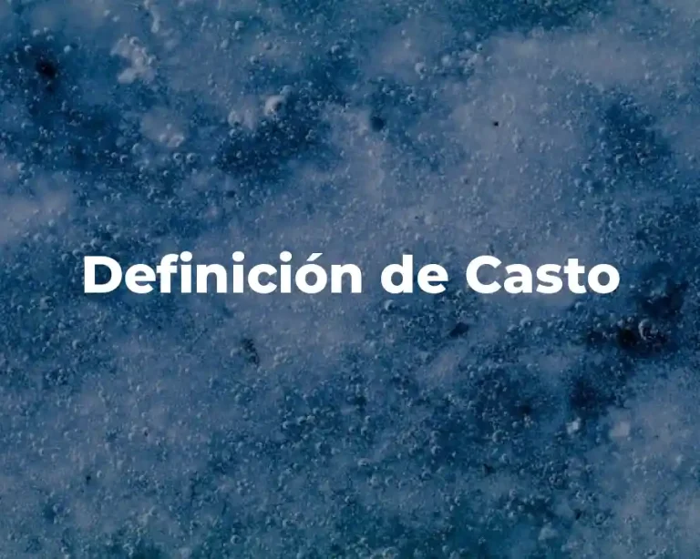 Definición de Casto