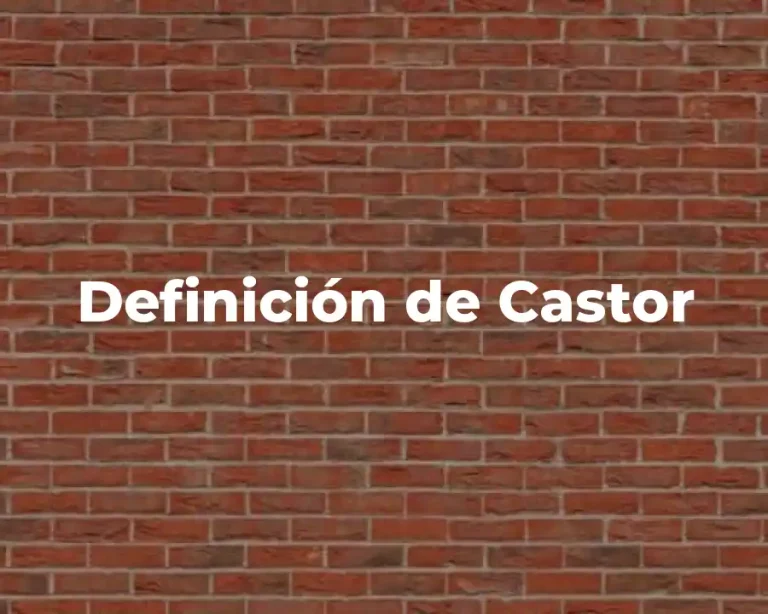 Definición de Castor