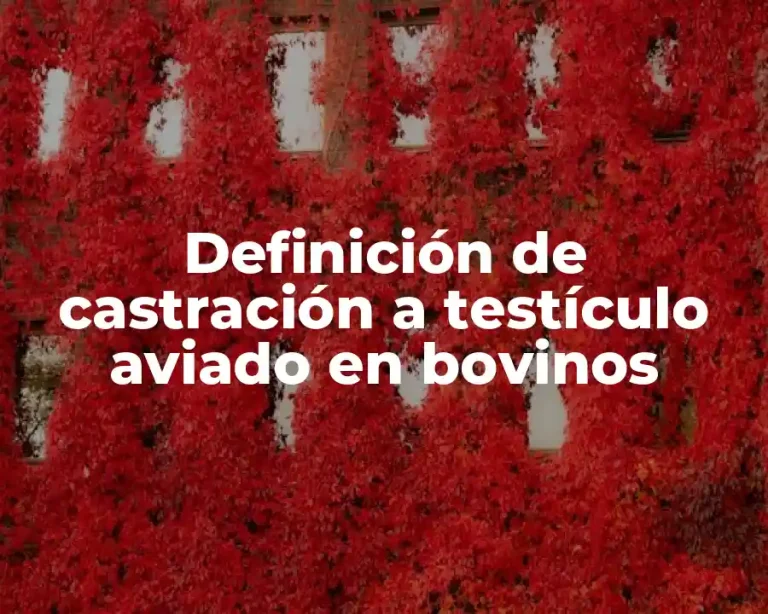 Definición de castración a testículo aviado en bovinos