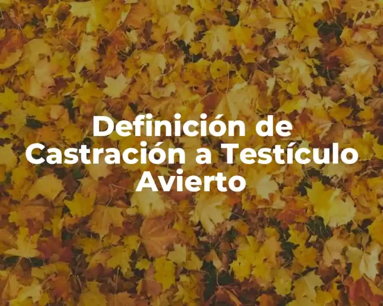 Definición de Castración a Testículo Avierto