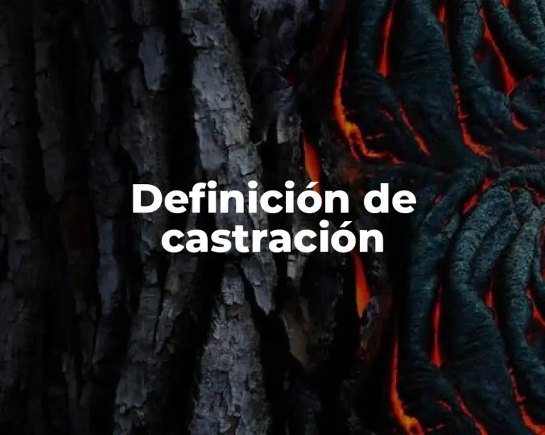 Definición de castración