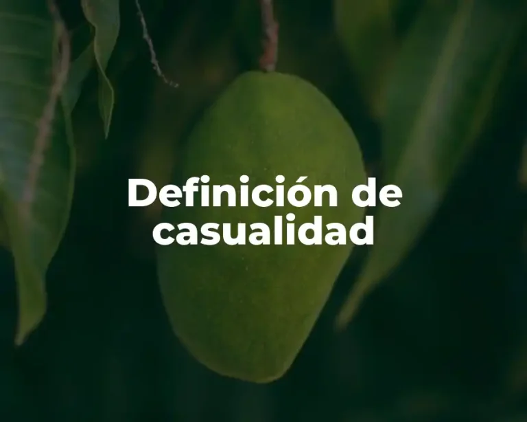 Definición de casualidad