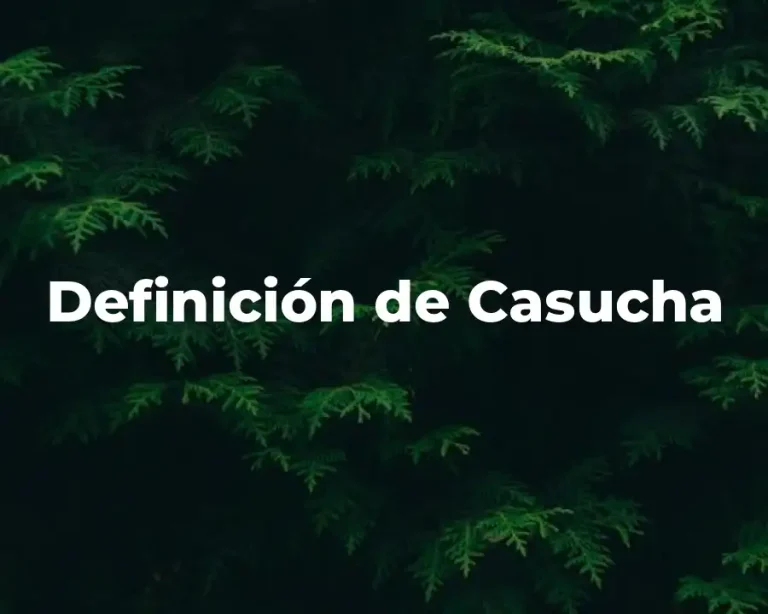 Definición de Casucha