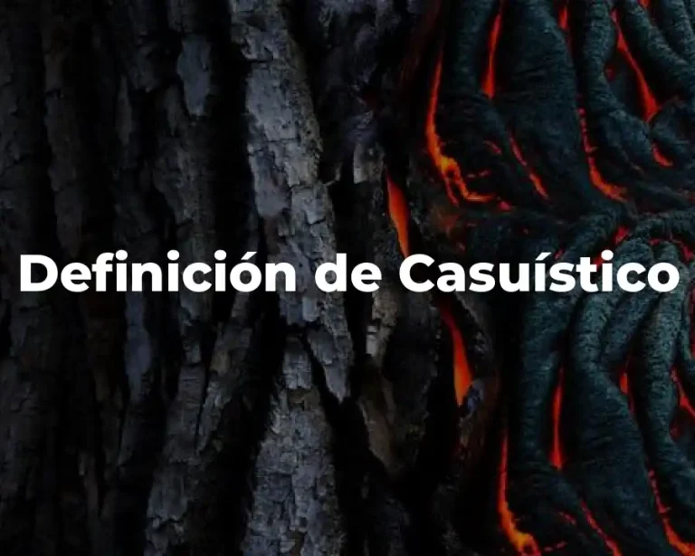Definición de Casuístico