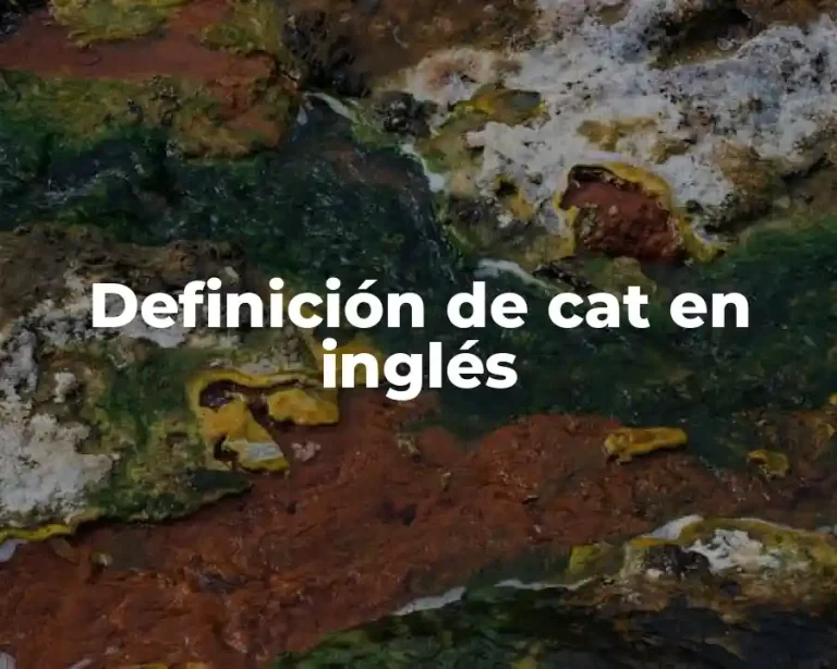 Definición de cat en inglés