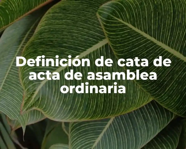 Definición de cata de acta de asamblea ordinaria