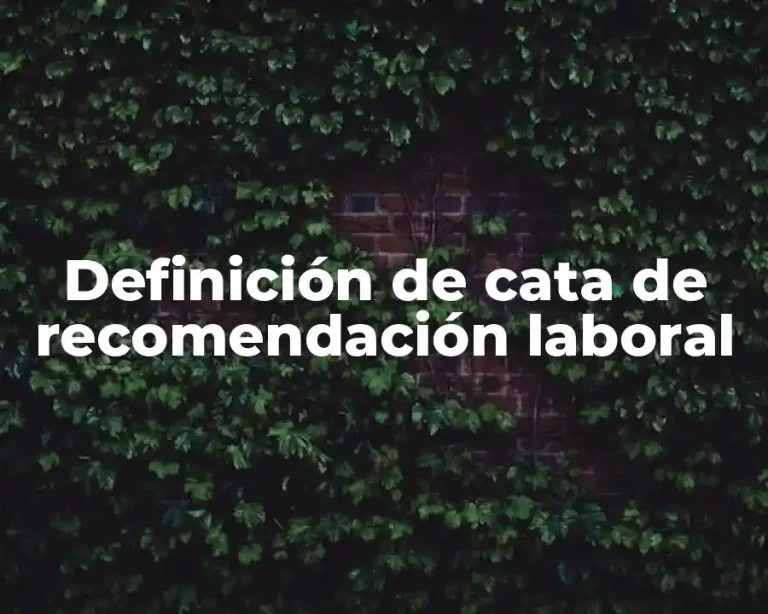 Definición de cata de recomendación laboral
