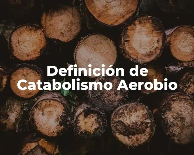 Definición de Catabolismo Aerobio