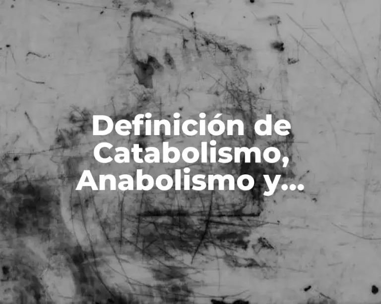 Definición de Catabolismo, Anabolismo y Metabolismo