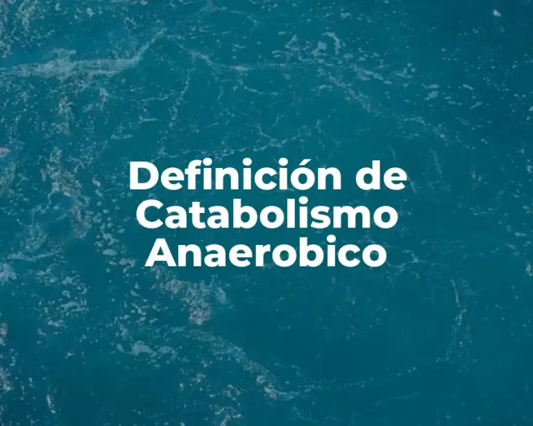 Definición de Catabolismo Anaerobico