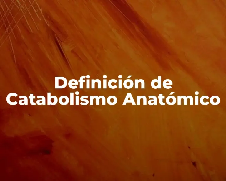 Definición de Catabolismo Anatómico