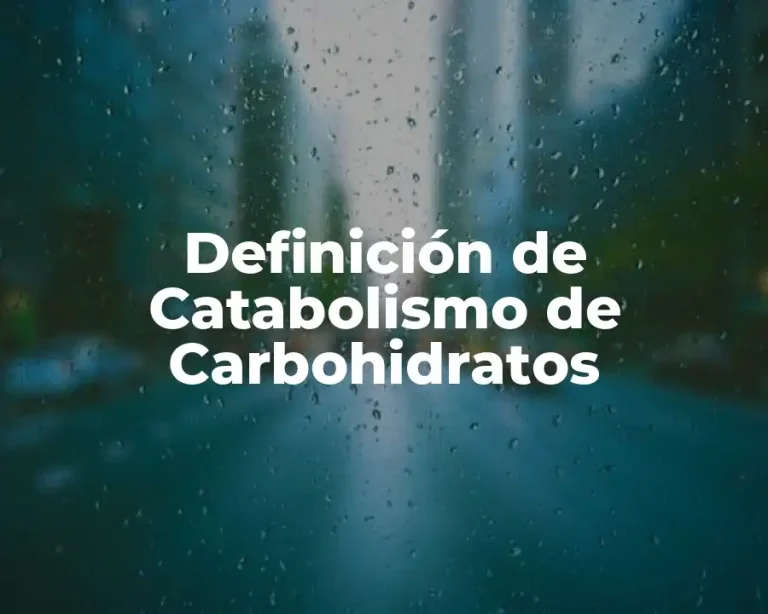 Definición de Catabolismo de Carbohidratos