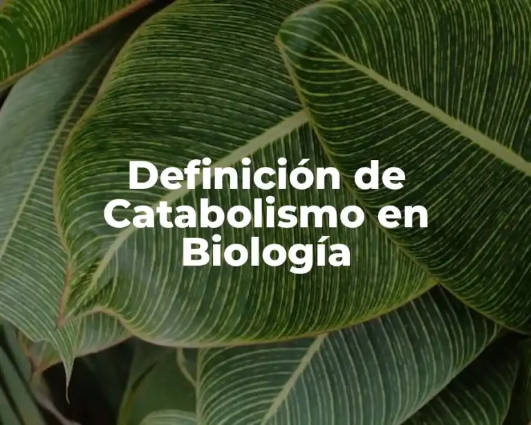 Definición de Catabolismo en Biología