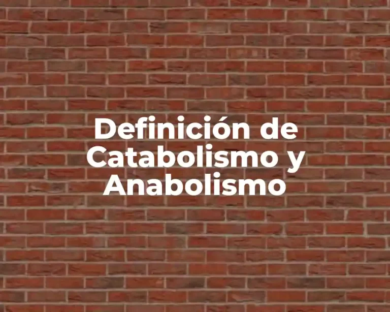 Definición de Catabolismo y Anabolismo