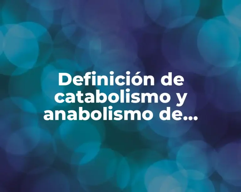 Definición de catabolismo y anabolismo de animales y plantas