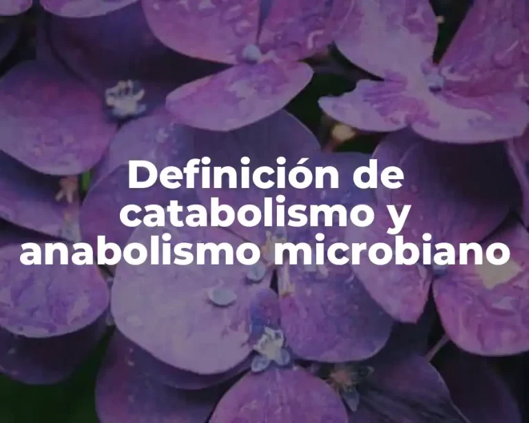 Definición de catabolismo y anabolismo microbiano