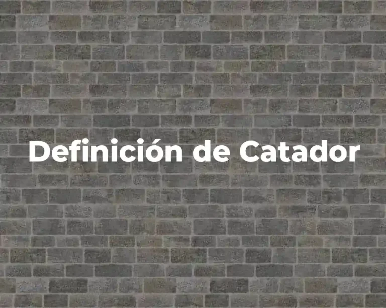 Definición de Catador