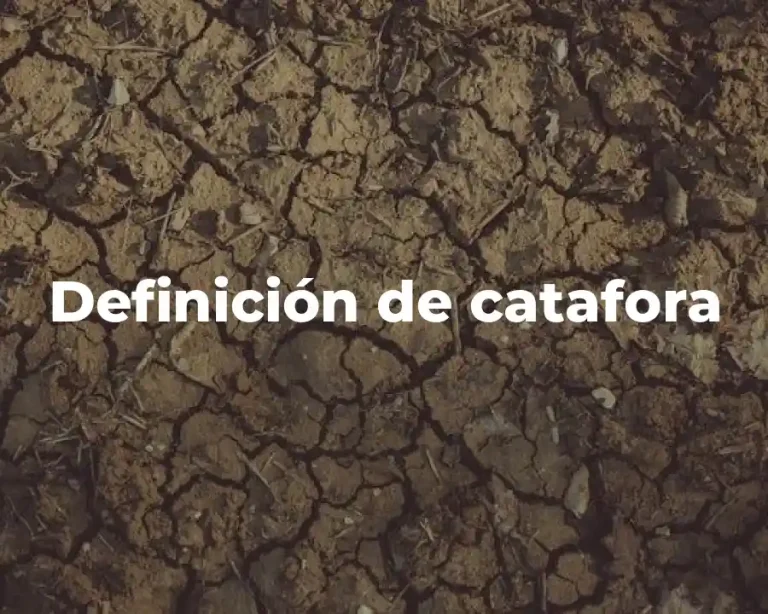 Definición de catafora