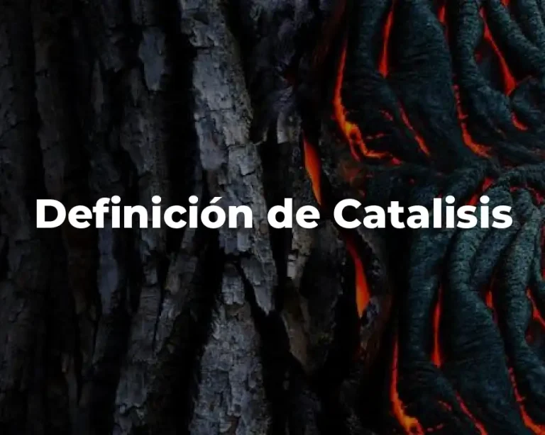 Definición de Catalisis